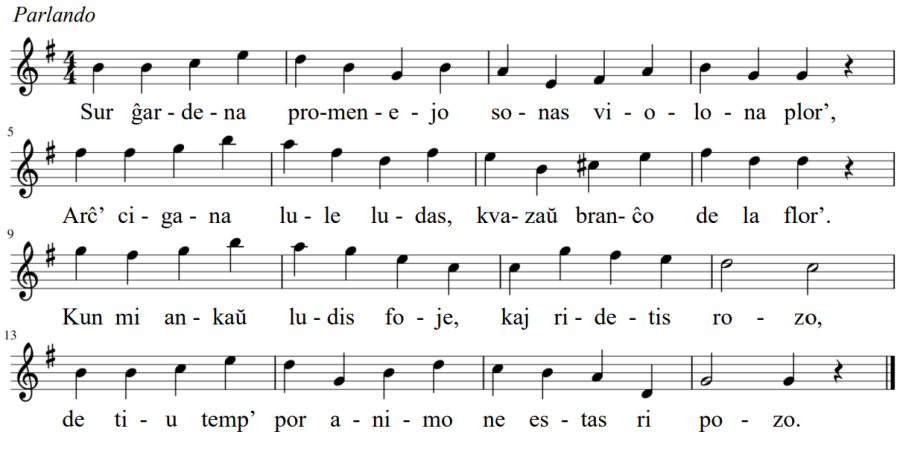 vasarhelyi_setateren_-_kotta.png